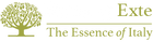 House of Exte logo