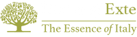 House of Exte logo